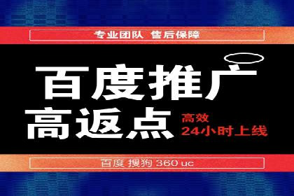 深度解读：百度推广运营的五大成功案例